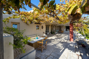 Gouzelis outdoor space