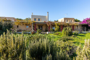 Gouzelis outdoor view 3