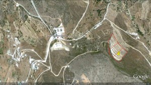google maps 2