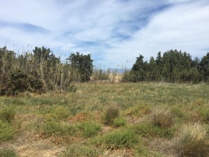 WhatsApp Image 2021-05-06 at 3.13.46 PM (1)