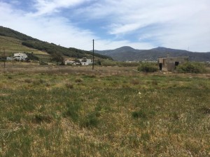 WhatsApp Image 2021-05-06 at 3.13.46 PM (10)