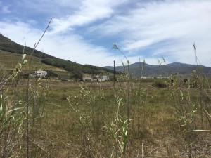 WhatsApp Image 2021-05-06 at 3.13.46 PM (13)