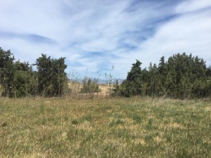 WhatsApp Image 2021-05-06 at 3.13.46 PM