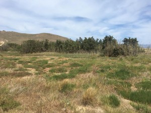 WhatsApp Image 2021-05-06 at 3.13.46 PM (4)