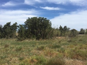 WhatsApp Image 2021-05-06 at 3.13.46 PM (5)