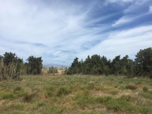 WhatsApp Image 2021-05-06 at 3.13.46 PM (7)