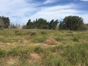 WhatsApp Image 2021-05-06 at 3.13.46 PM (9)