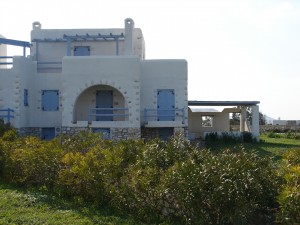 DSC03953-1
