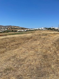 Land 15