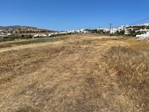 Land 19