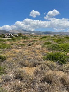 Land 3